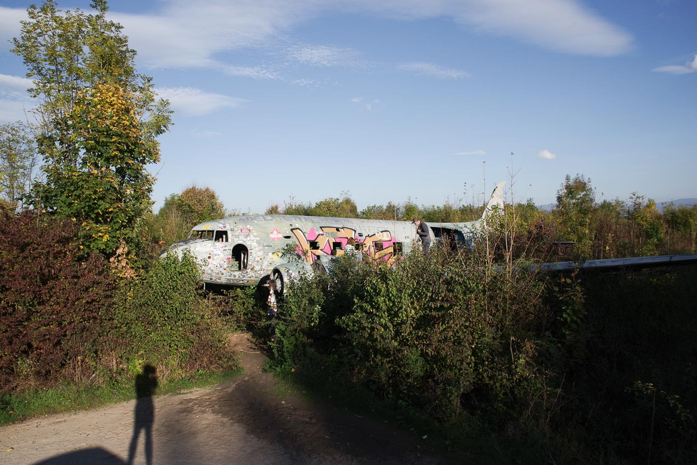img7801