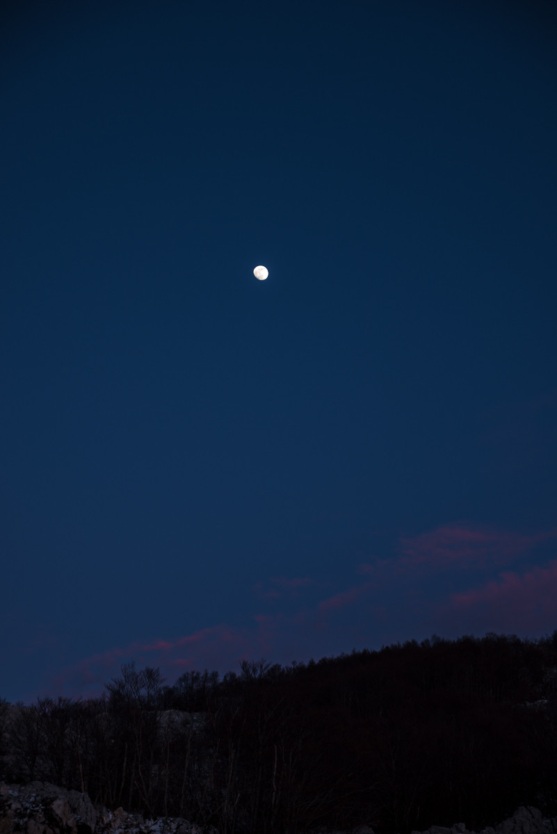 img9517