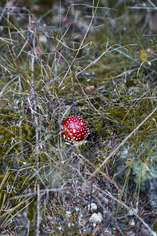 imgp3063