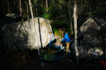 Fontainebleau October 2021 - Day 2 (Franchard Isatis)