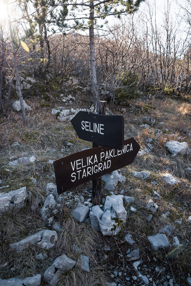 img0719