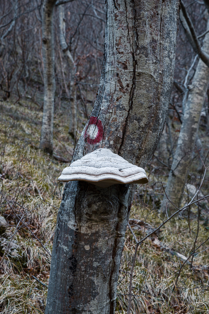 img0690
