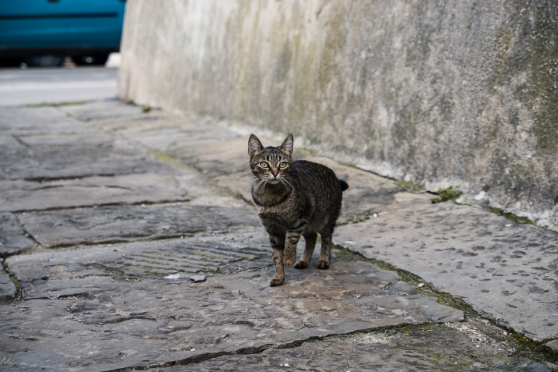 img8887