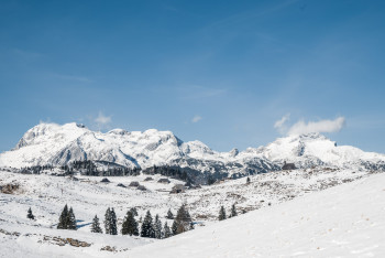 Winter hiking to Velika Planina